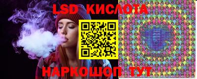 стаф Гатчина
