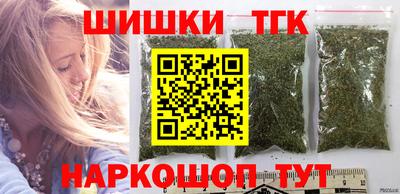 стаф Гатчина