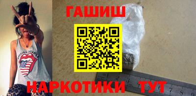 стаф Гатчина