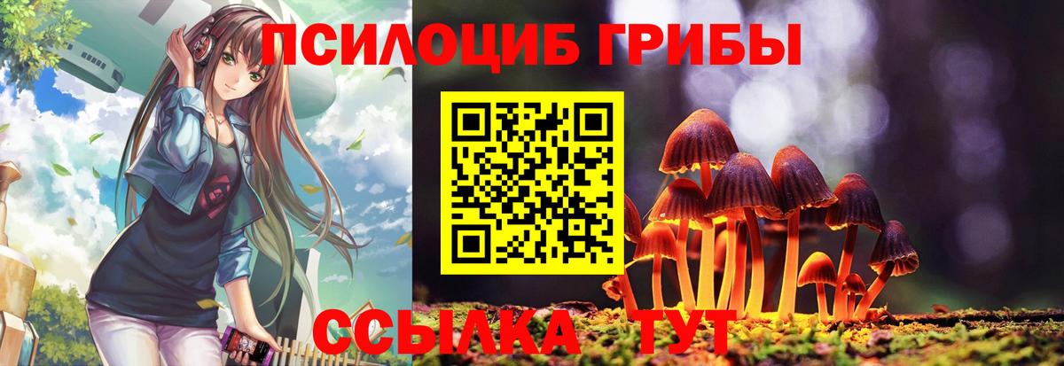 Галлюциногенные грибы ЛСД Нерюнгри