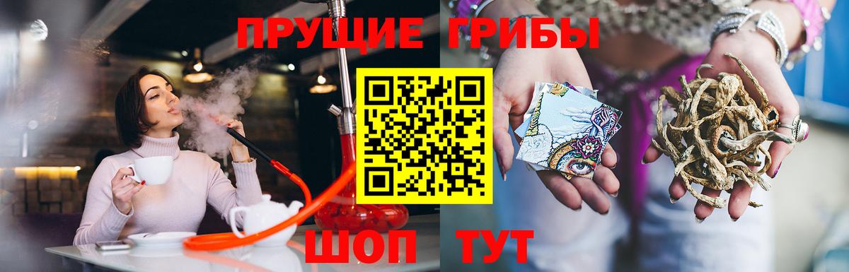 наркотики  Псилоцибиновые грибы GOLDEN TEACHER  Вход с VPN  Нерюнгри 