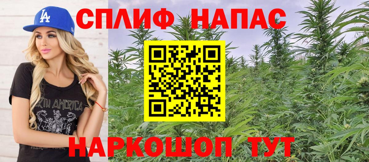 Марихуана планчик  Вход с VPN  Нерюнгри  Конопля гибрид 